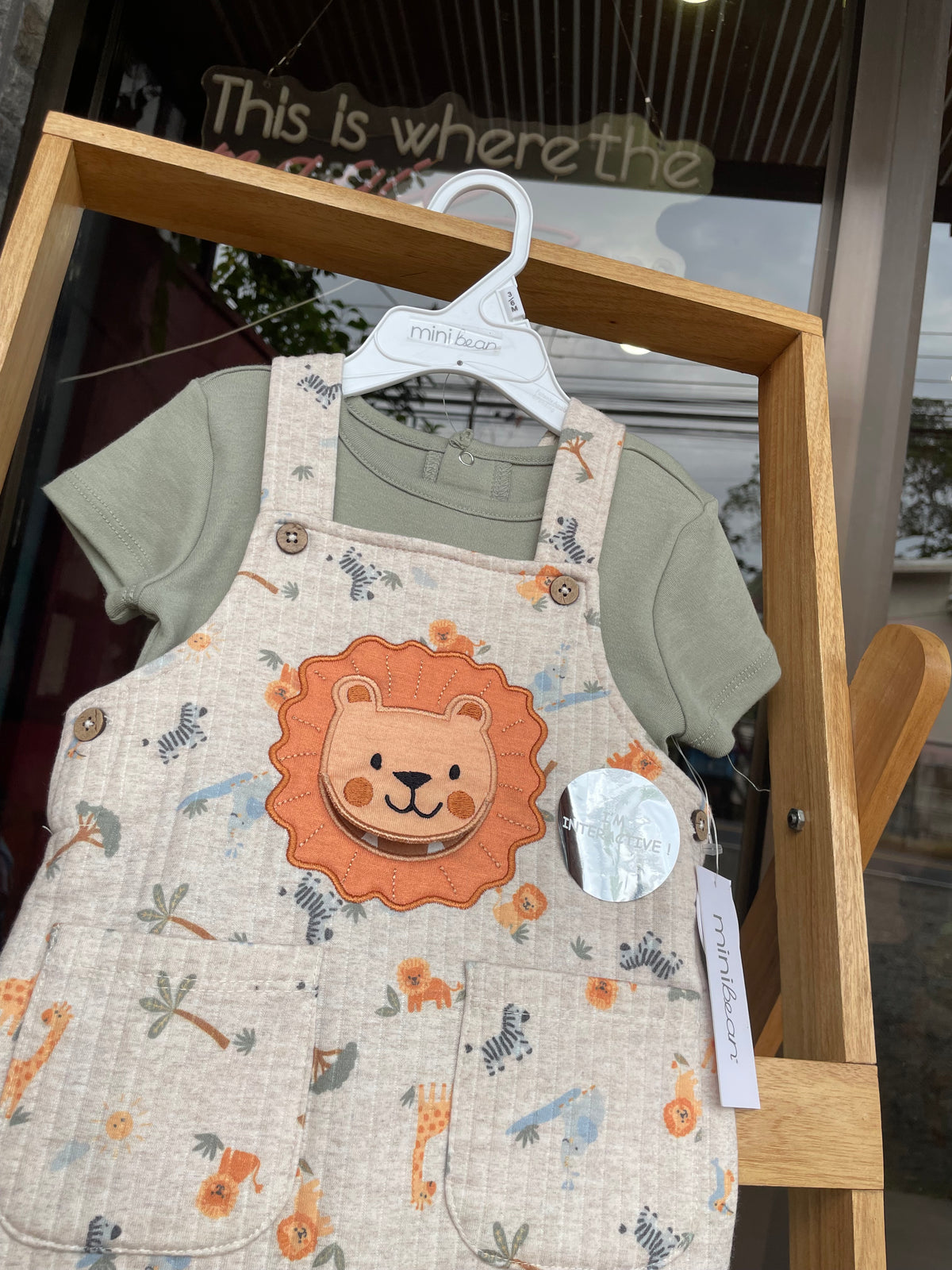 Baby lion set