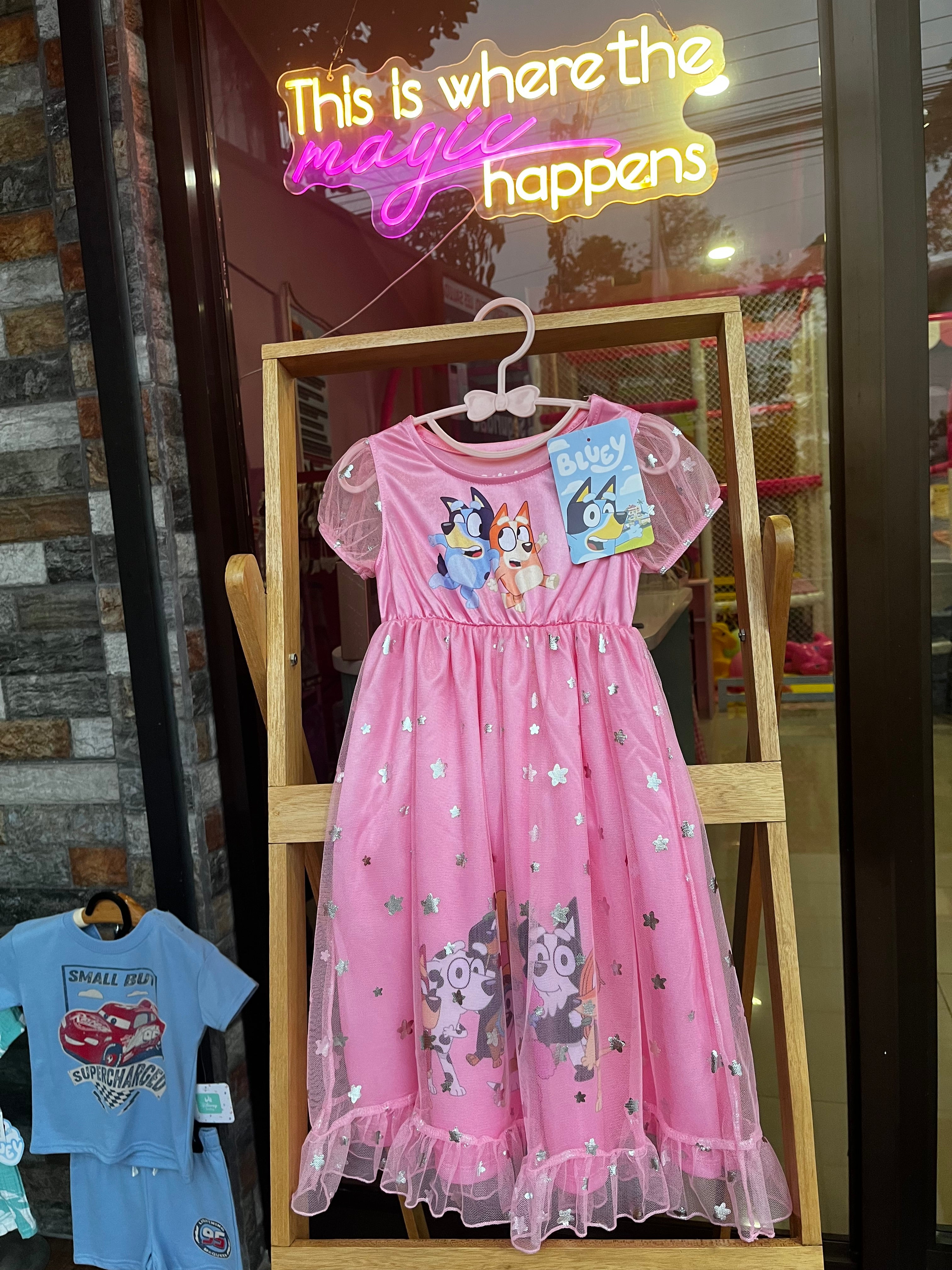 Bluey Dress | 2 años