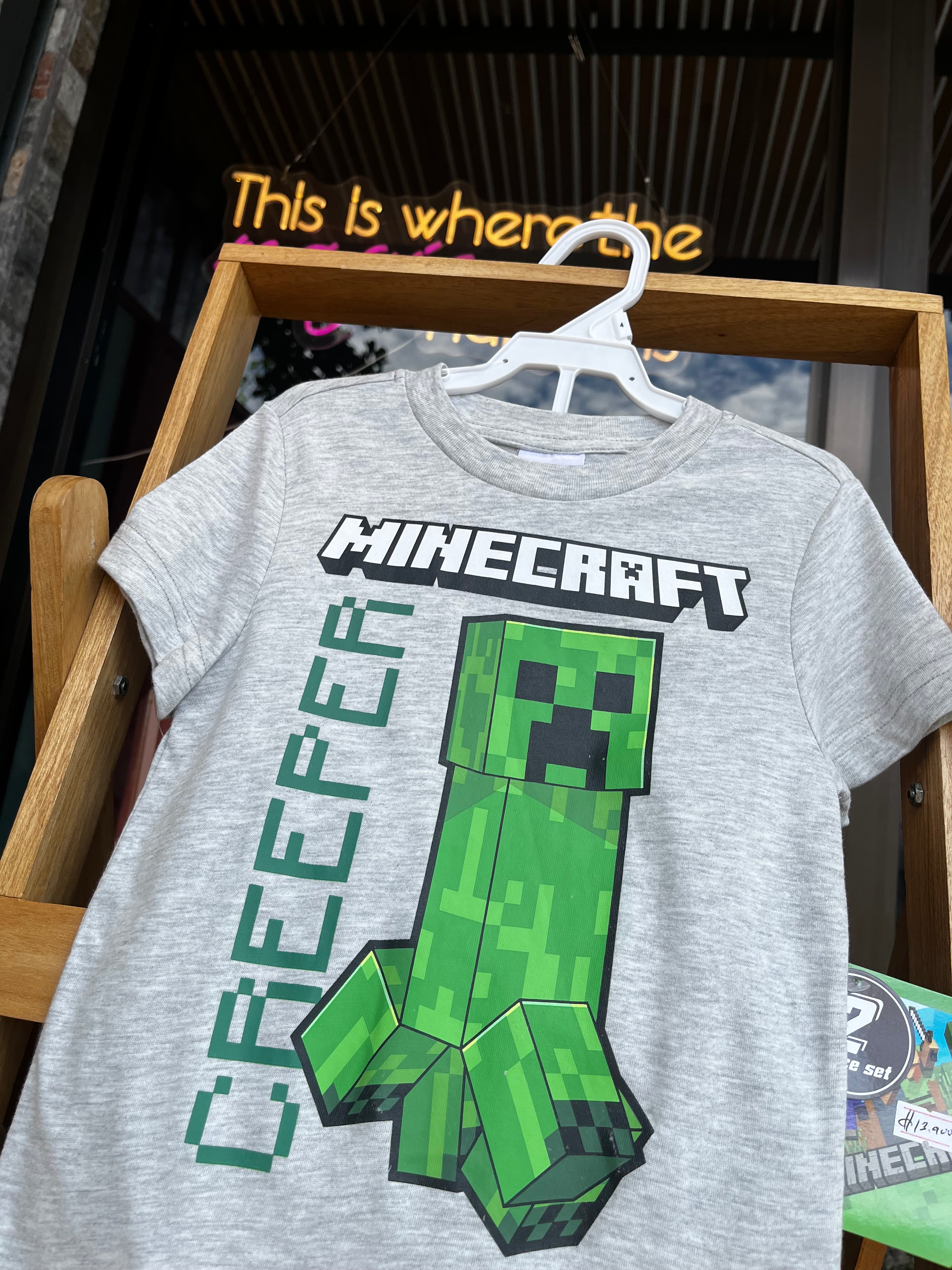 Minecraft set