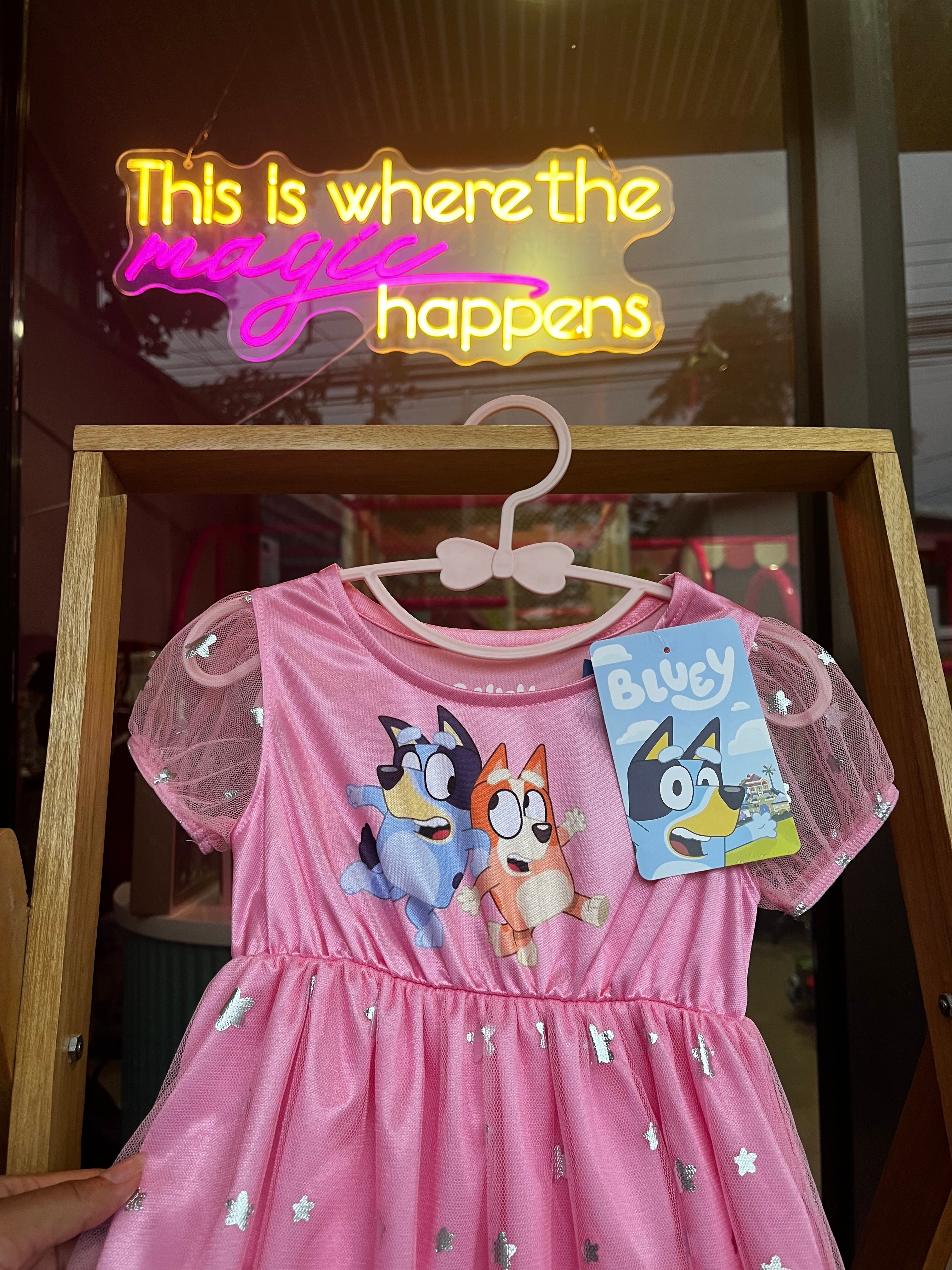 Bluey Dress | 2 años