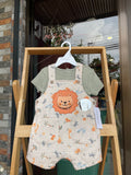 Baby lion set