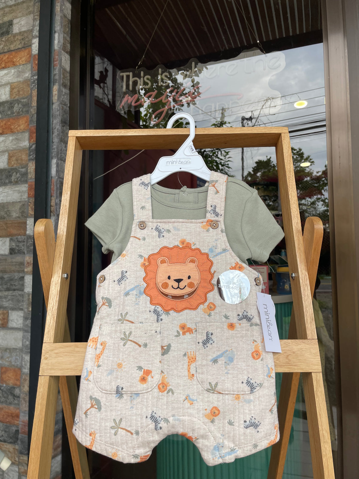 Baby lion set