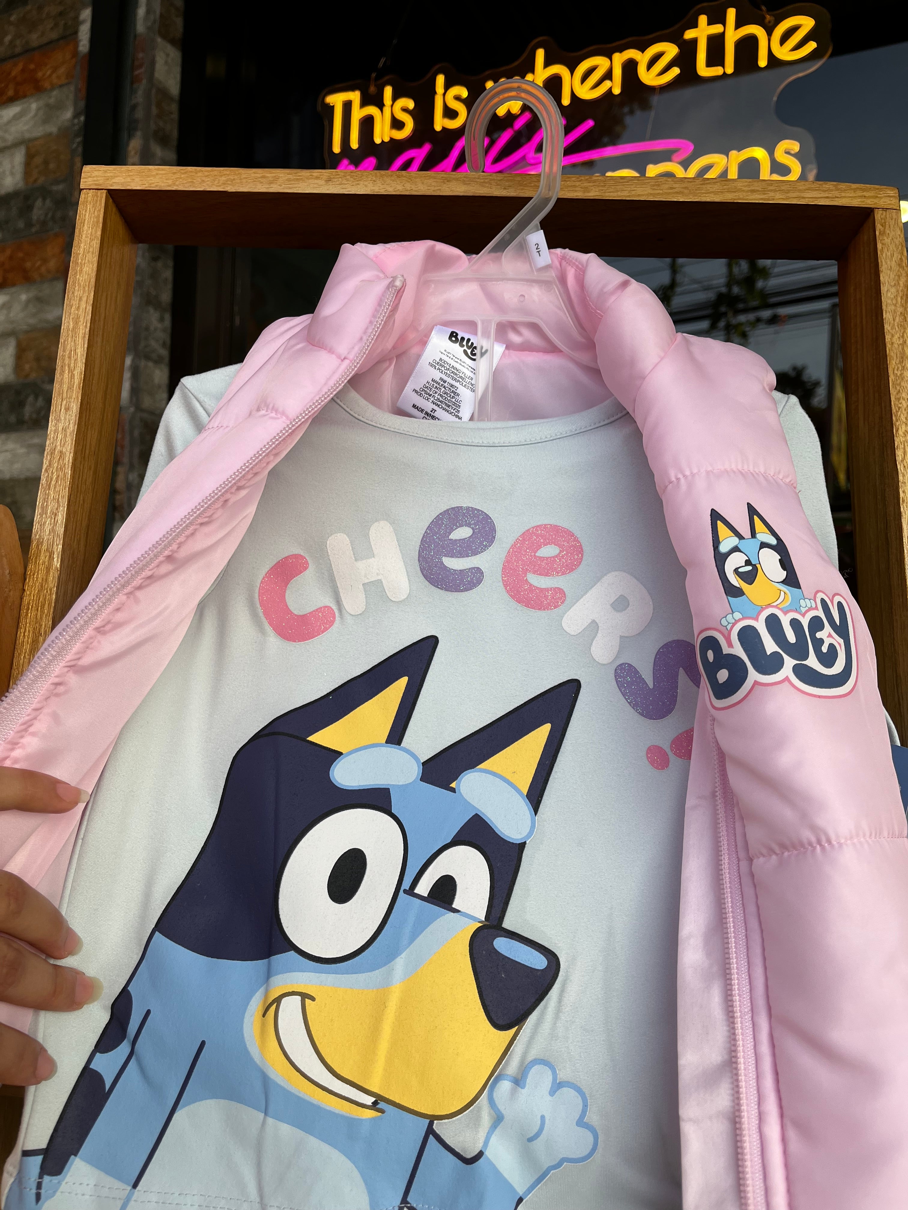 Bluey set