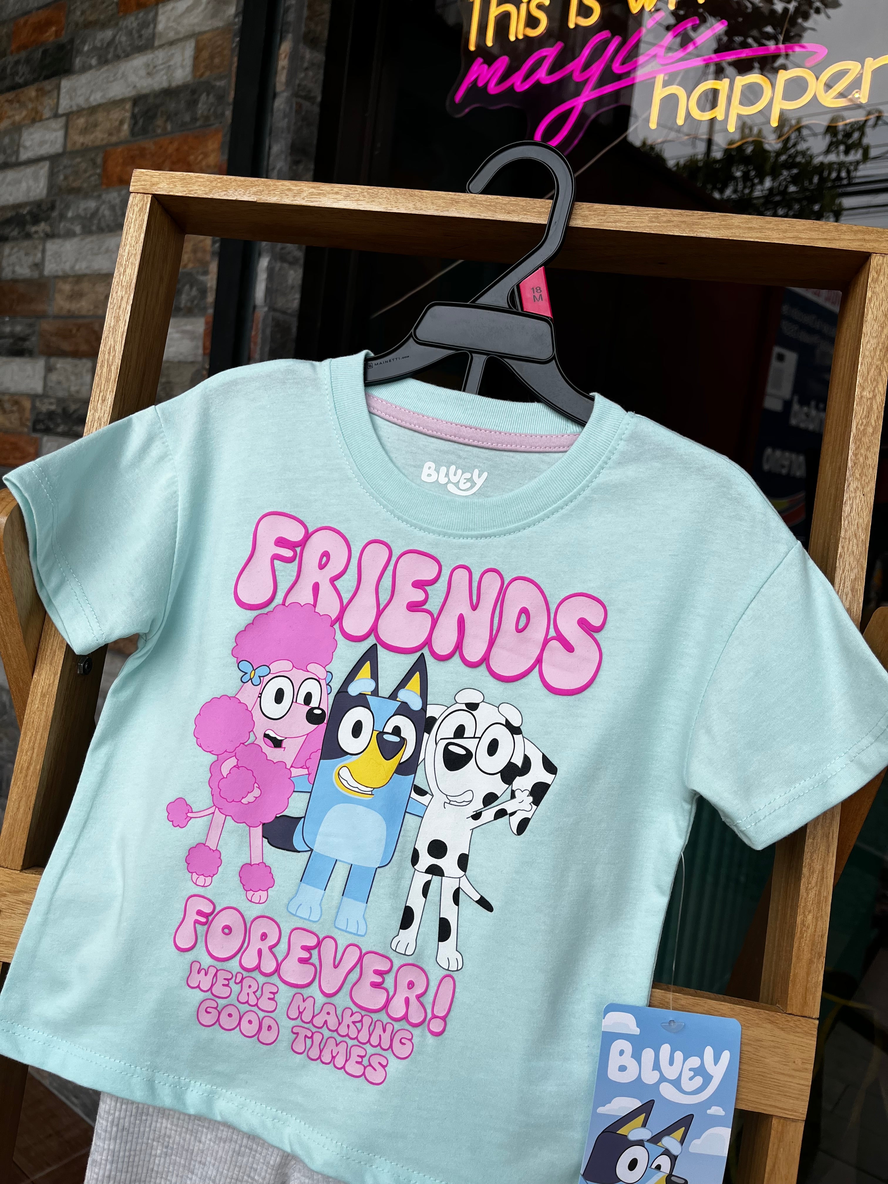 Bluey & Friends