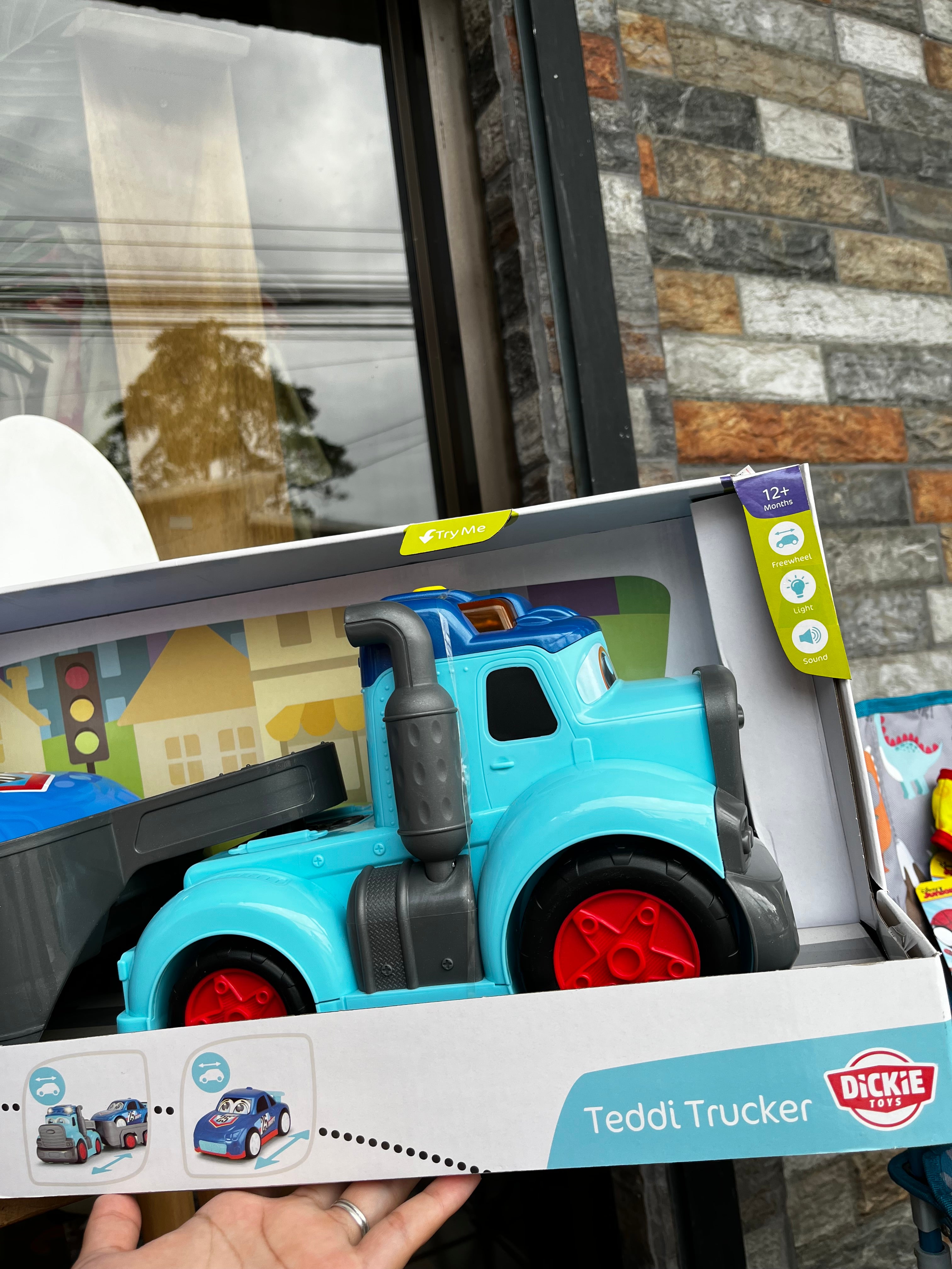 Teddi Trucker