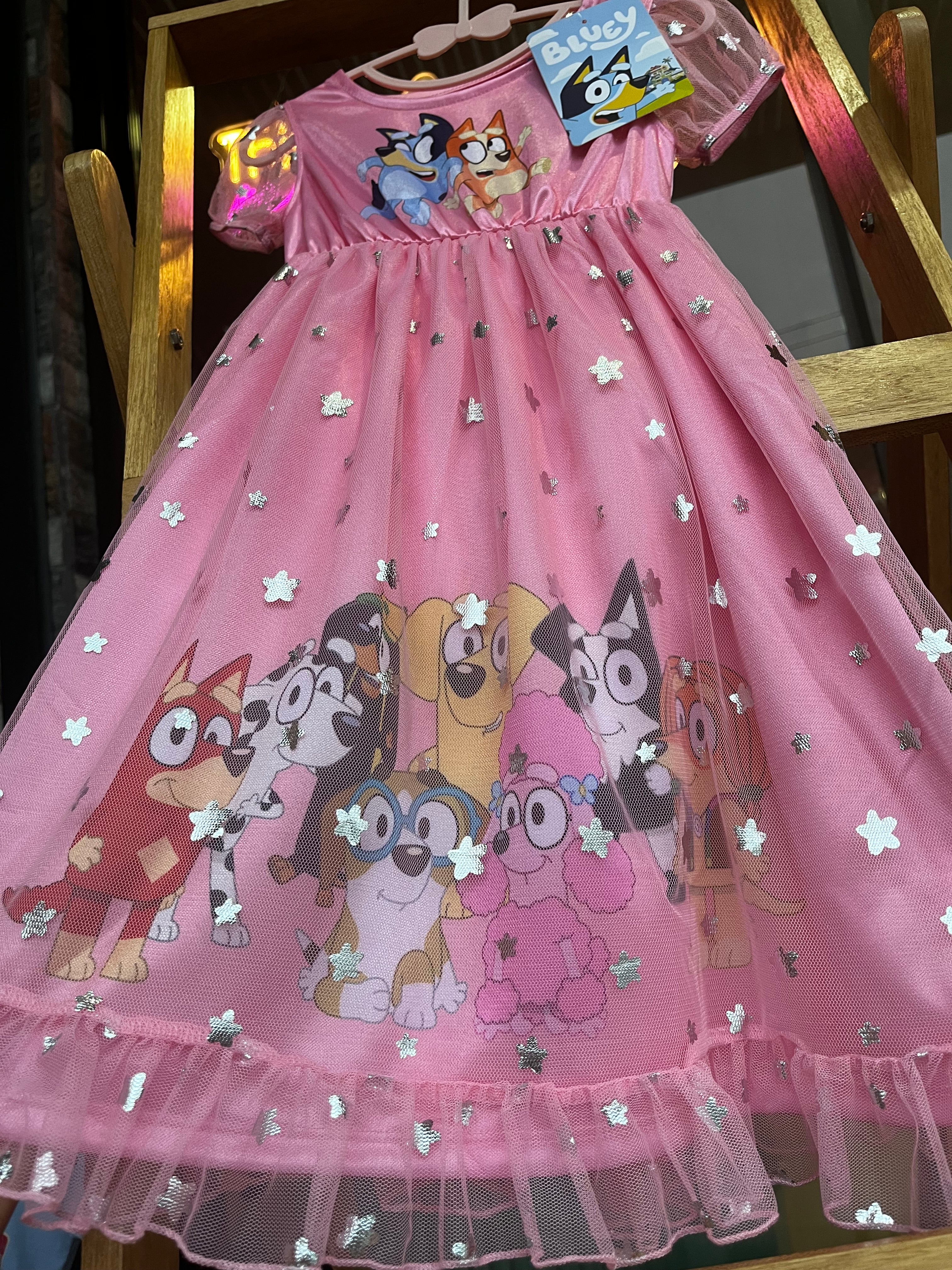 Bluey Dress | 2 años