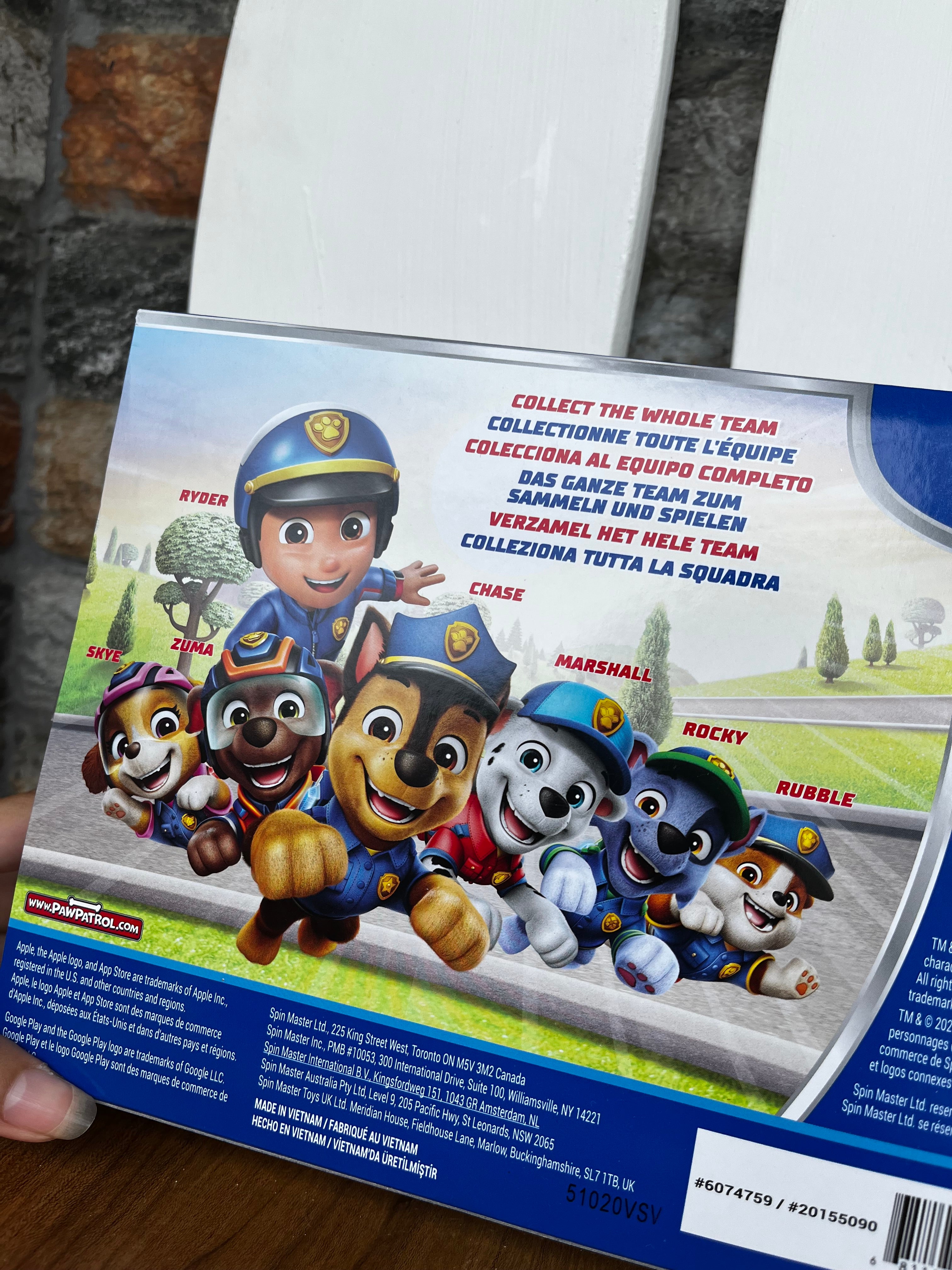 Paw Patrol | search & rescue team