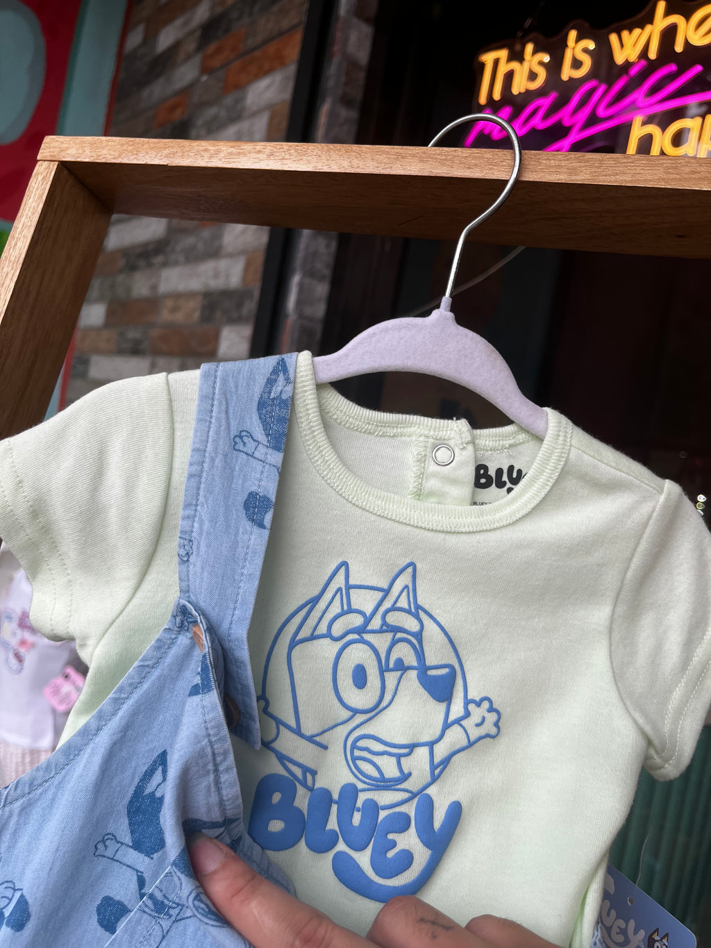 Bluey set