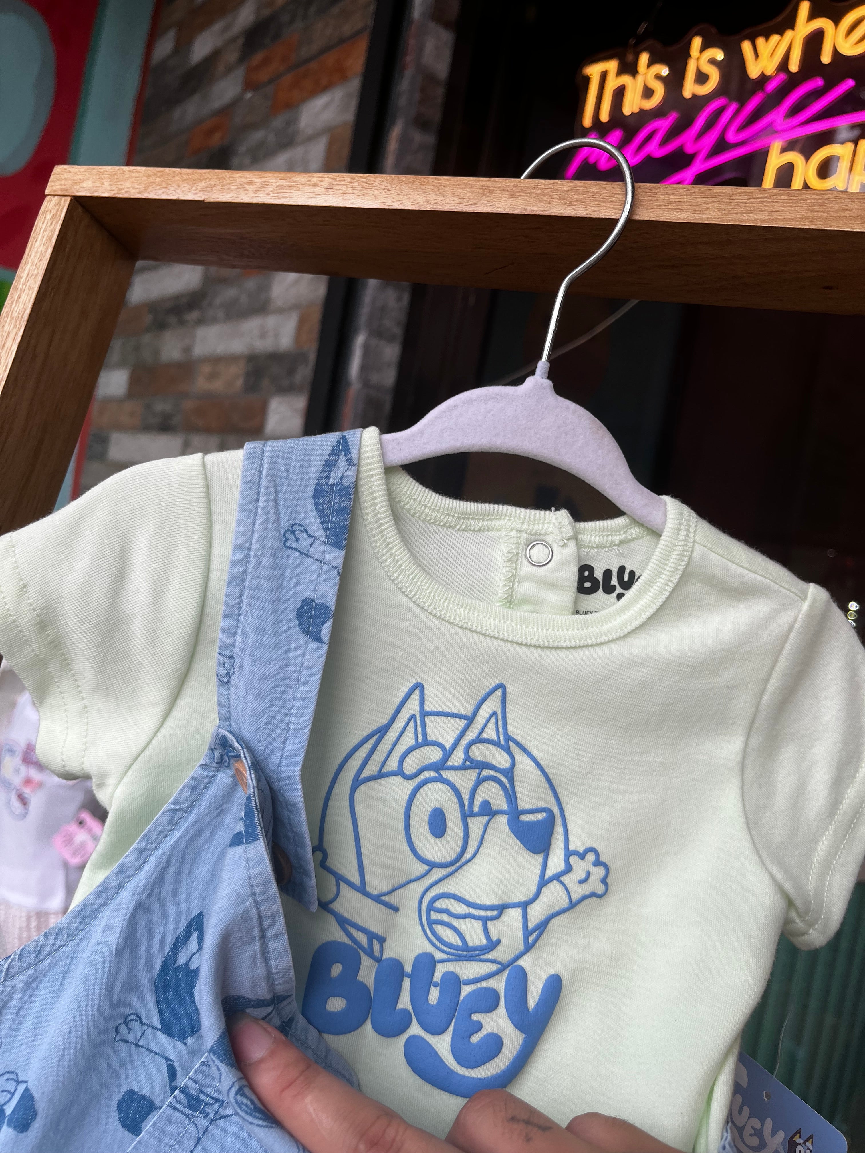 Bluey set