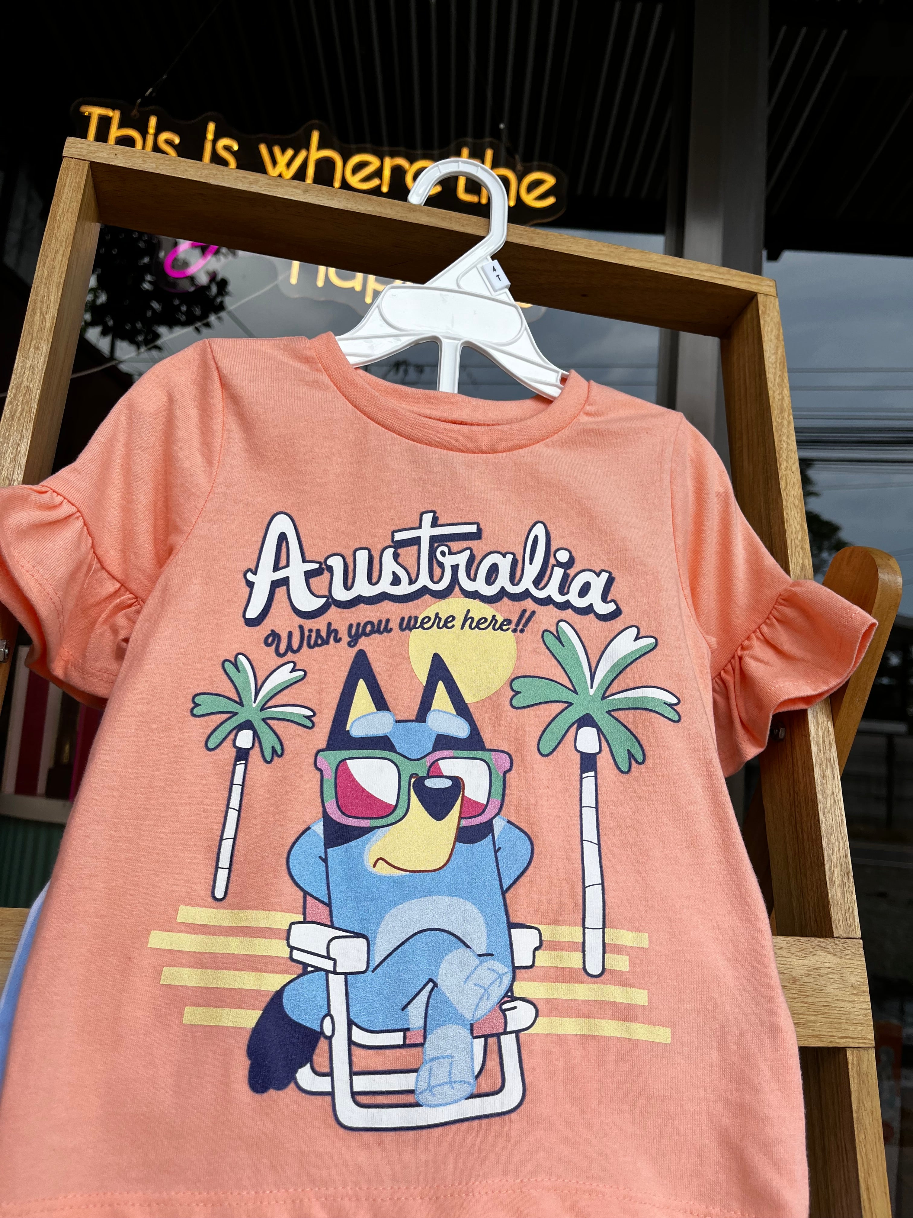 Bluey set