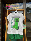 Minecraft set