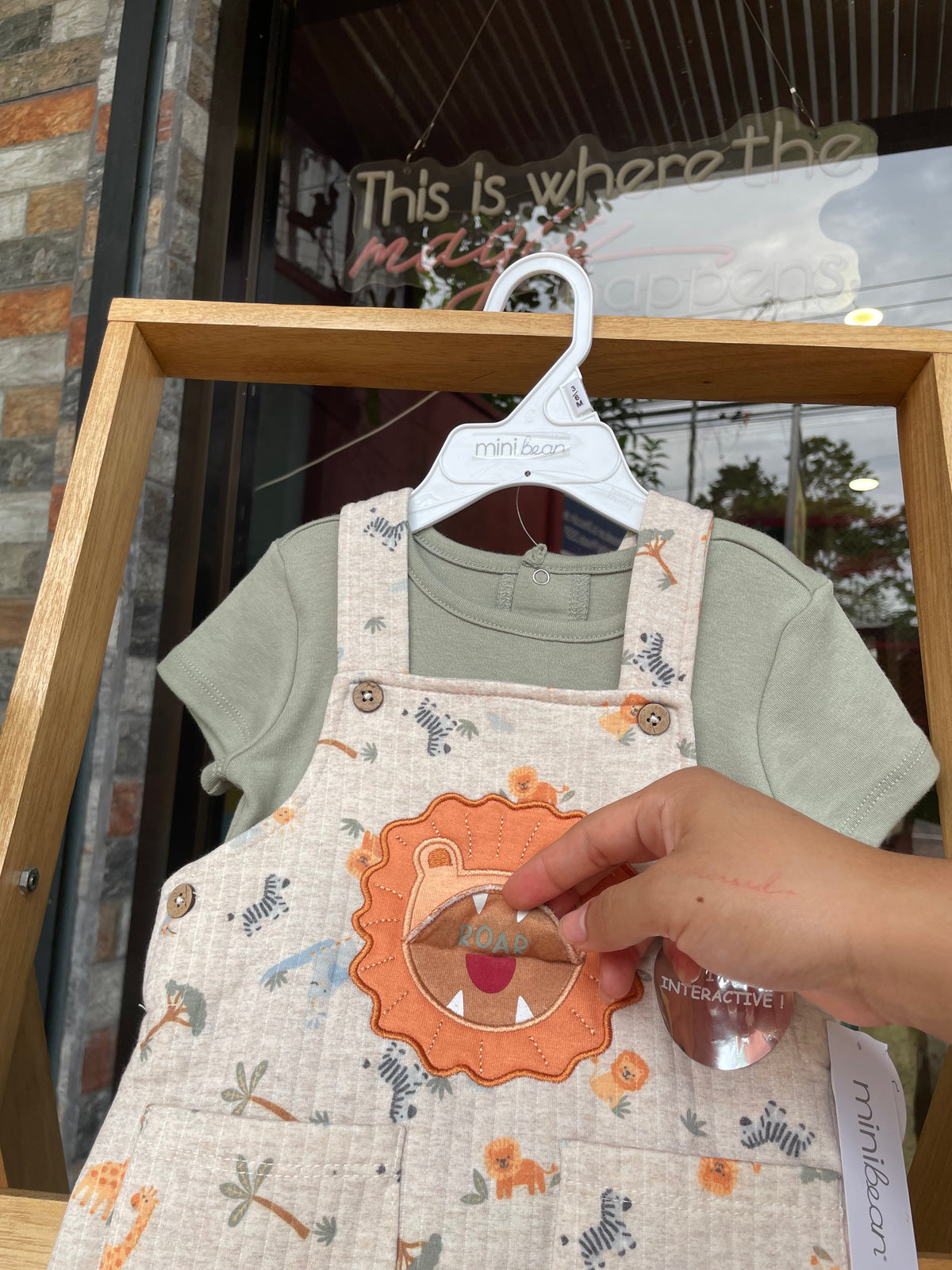 Baby lion set