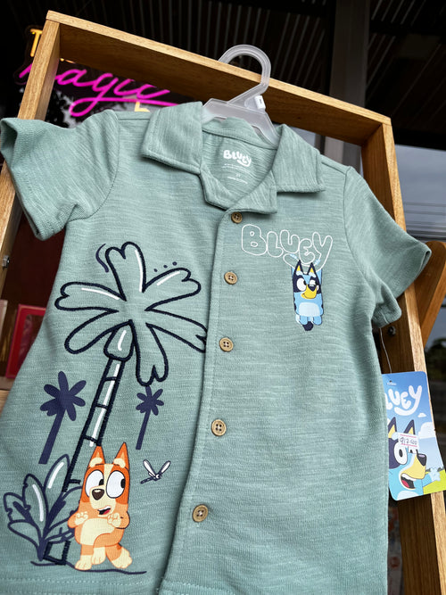 Bluey set