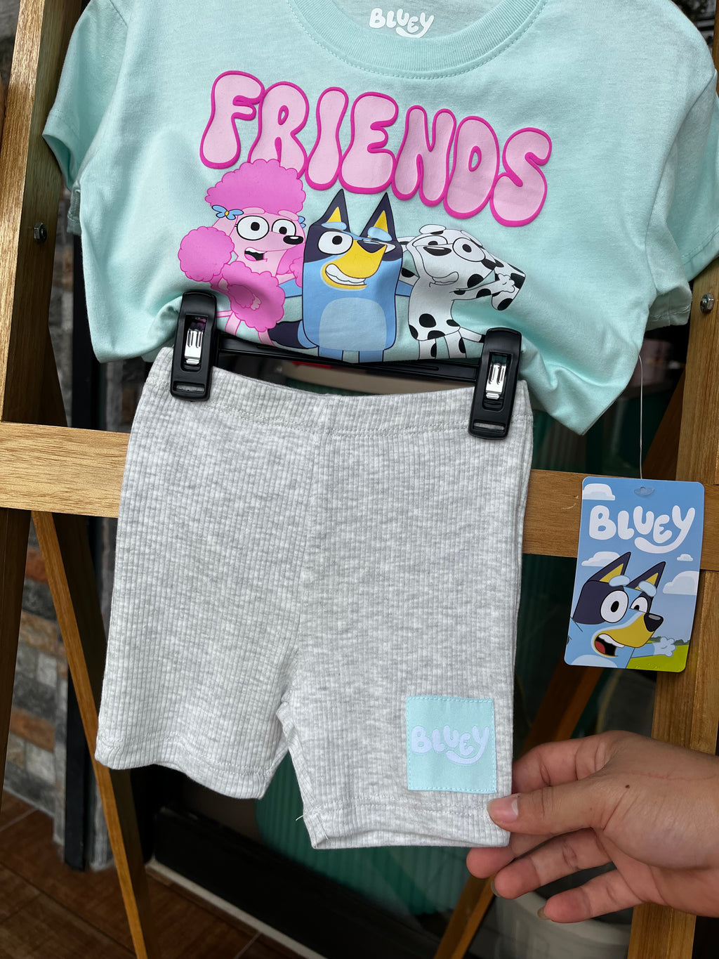 Bluey & Friends