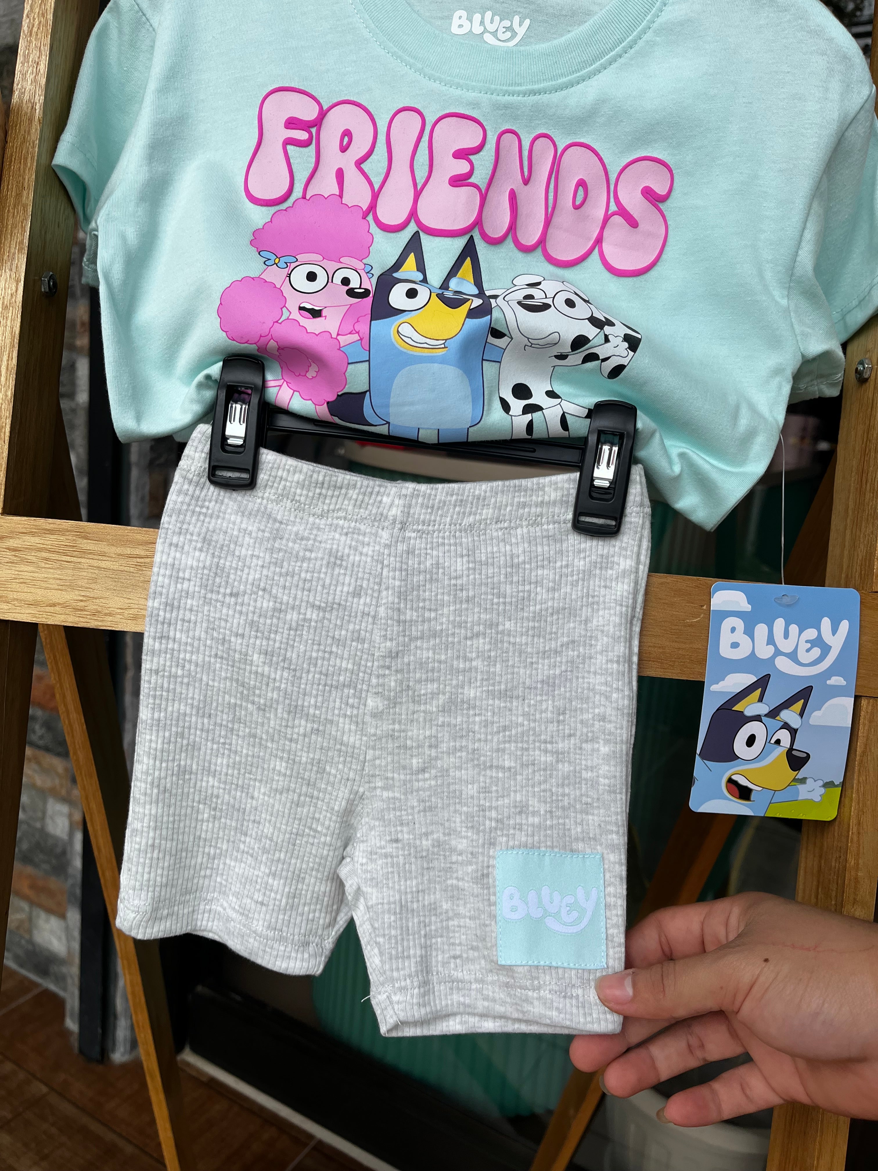 Bluey & Friends